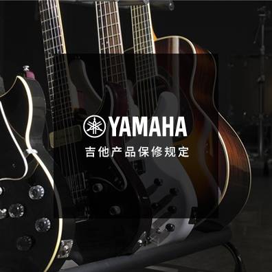 吉他、贝斯和音箱