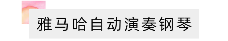 活动报道 | 远程艺术教育大师课活动—明升mansion艺术家吴晓大师课