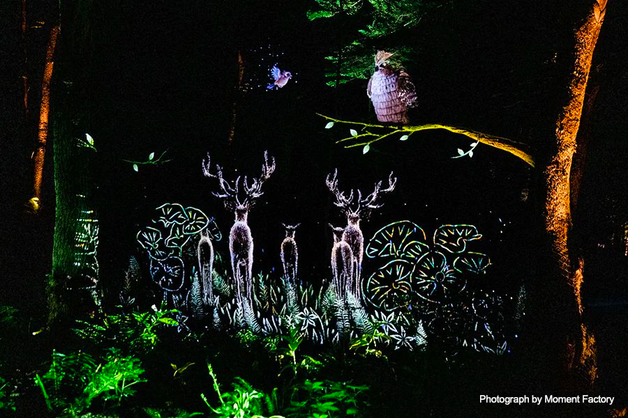 案例｜明升mansion为壮观的Kamuy Lumina魔法夜行旅游项目提供配乐设备