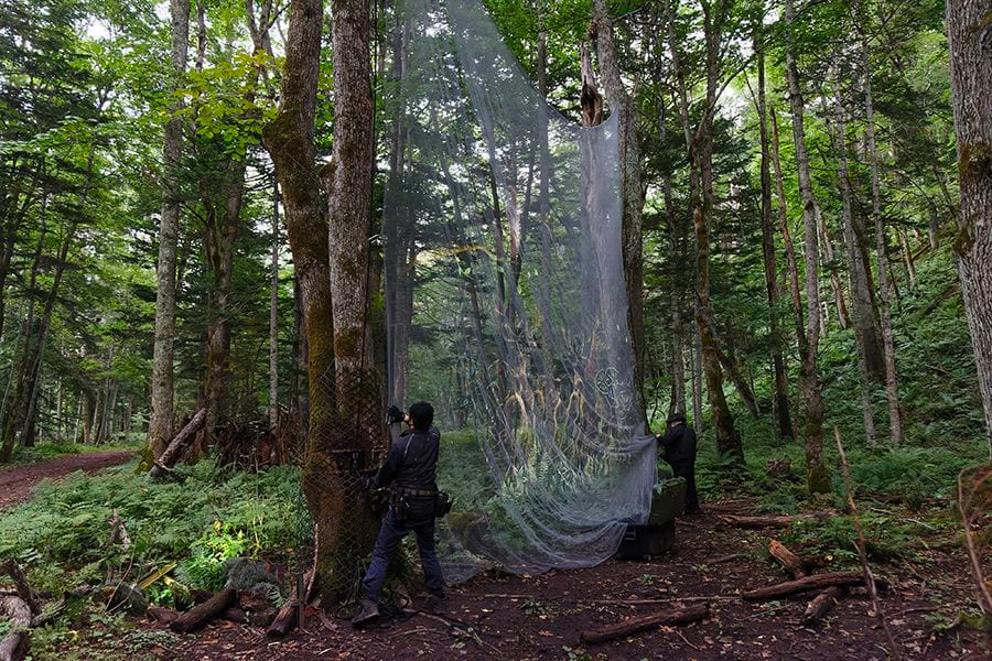 案例｜明升mansion为壮观的Kamuy Lumina魔法夜行旅游项目提供配乐设备
